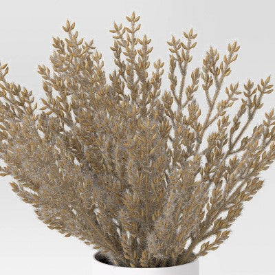 Tan Grass Mini Arrangement - Room Essentials™
