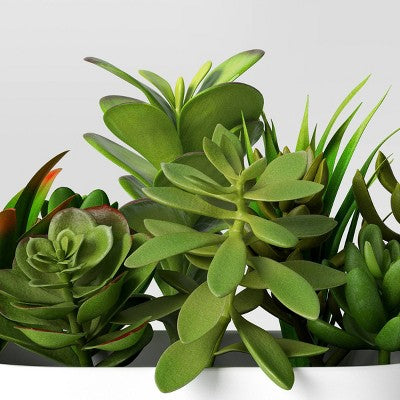  Succulent Arrangement In Long White Pot - Room Essentials™