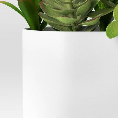  Succulent Arrangement In Long White Pot - Room Essentials™