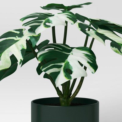  3pk 7.87" Monstera Artificial Plants - Room Essentials™
