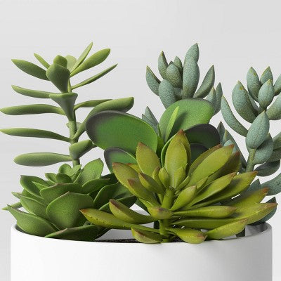  Succulent Arrangement In White Pot - Room Essentials™