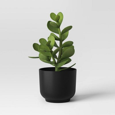  Succulent Artificial In Black Pot - Room Essentials™