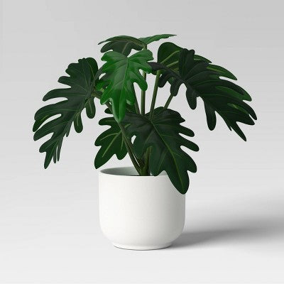  Core Plant Multipack In White Pot - Room Essentials™