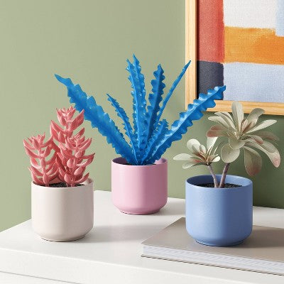 3pk 8.86" Succulent Artificial Plants Multicolor - Room Essentials™