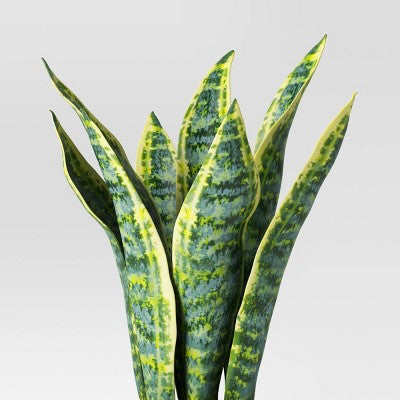  Snake Artificial Potted Plant - Room Essentials™