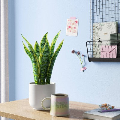  Snake Artificial Potted Plant - Room Essentials™
