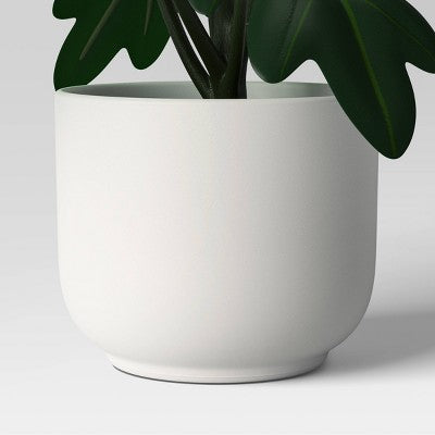  Core Plant Multipack In White Pot - Room Essentials™