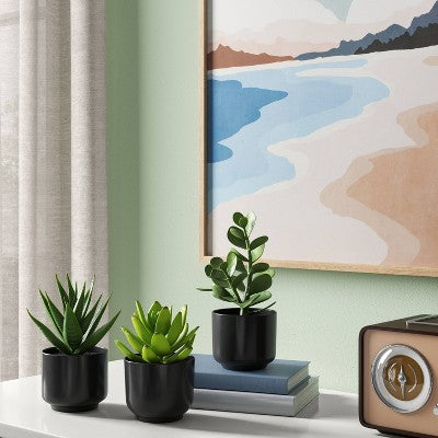  Succulent Artificial In Black Pot - Room Essentials™