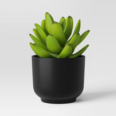  Succulent Artificial In Black Pot - Room Essentials™
