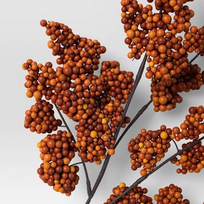  Orange Berry Stem - Room Essentials™