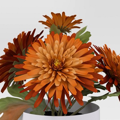  Orange Daisy Mini Arrangement - Room Essentials™