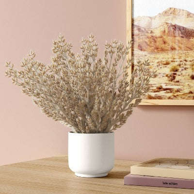  Tan Grass Mini Arrangement - Room Essentials™