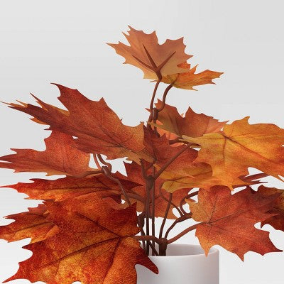  Maple Leaf Mini Arrangement - Room Essentials™