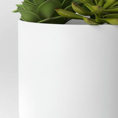  Succulent Arrangement In White Pot - Room Essentials™
