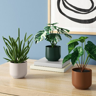  3pk 7.87" Monstera Artificial Plants - Room Essentials™